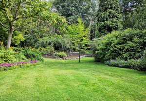 Optimiser l'expérience du jardin à La Teste-de-Buch