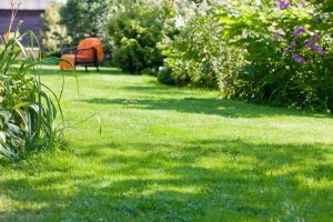 travaux jardin et paysage La Teste-de-Buch